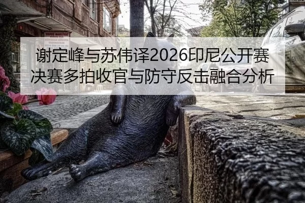 谢定峰与苏伟译2026印尼公开赛决赛多拍收官与防守反击融合分析