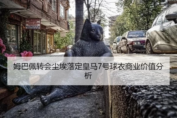 mu-ba-pei-zhuan-hui-chen-ai-luo-ding-huang-ma-hao-qiu-yi-shang-ye-jia-zhi-fen-xi-3-138.jpg
